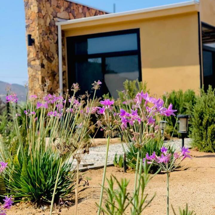 Photo of Others in Valle de Guadalupe