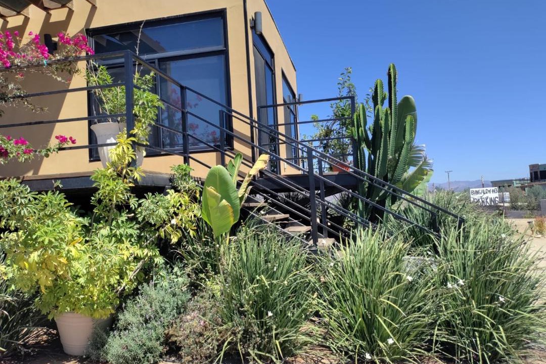 Photo of Others in Valle de Guadalupe