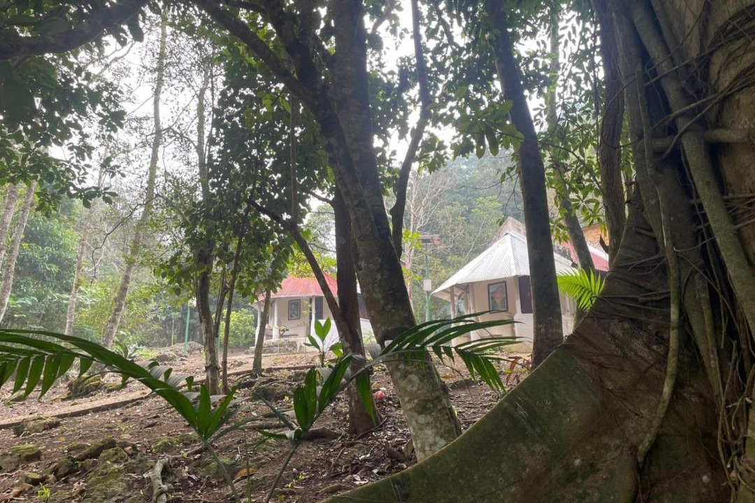 Photo of Others in Cintalapa