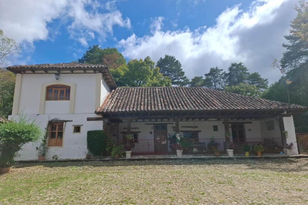 Photo of Others in San Cristobal de las Casas