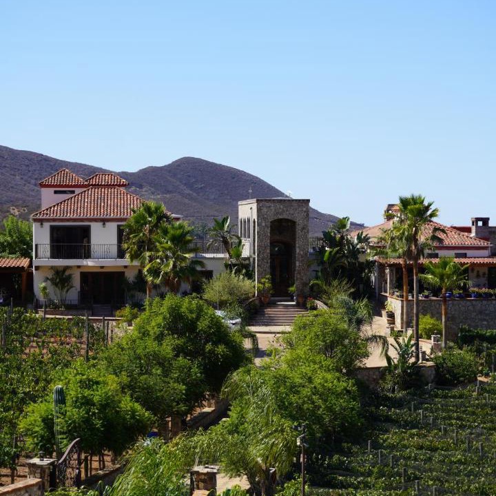 Photo of Others in Valle de Guadalupe