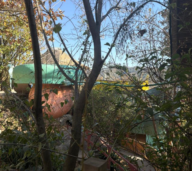 Photo of Others in El Santuario