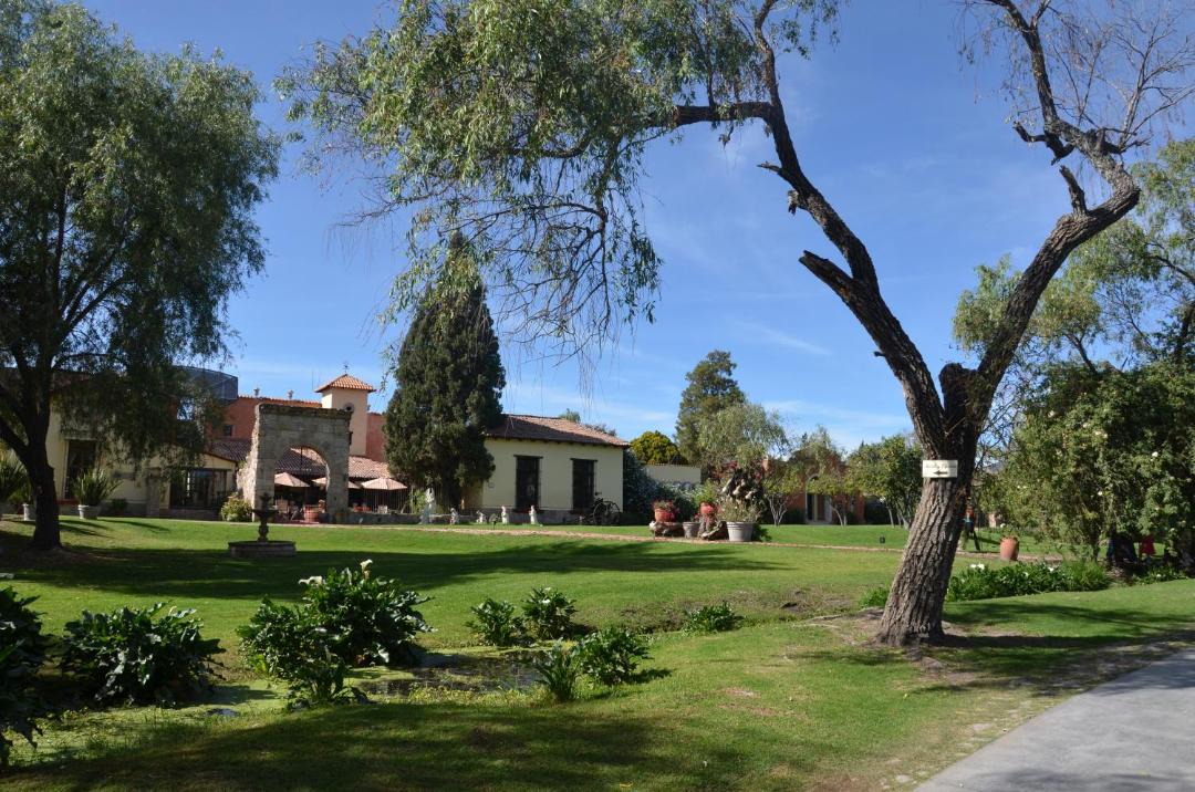 Photo of Others in Zapopan