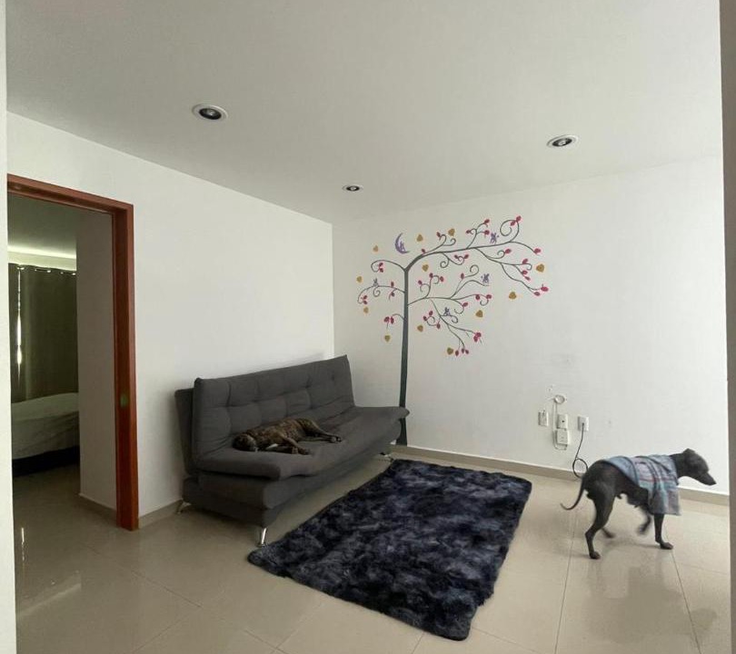 Photo of Livingroom in Queretaro