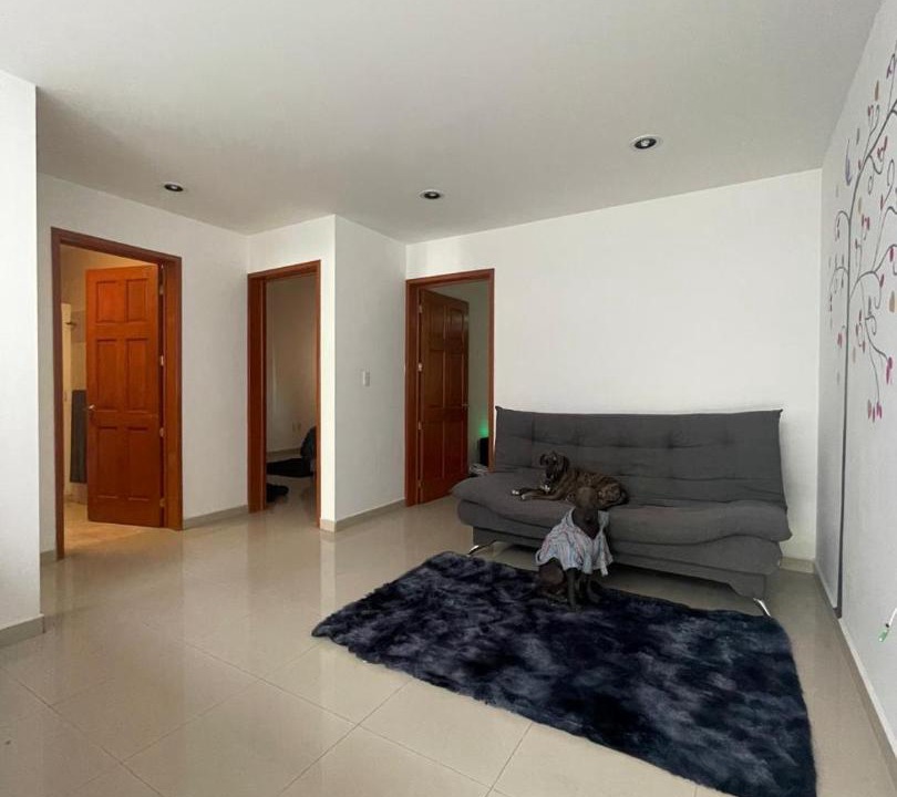 Photo of Livingroom in Queretaro