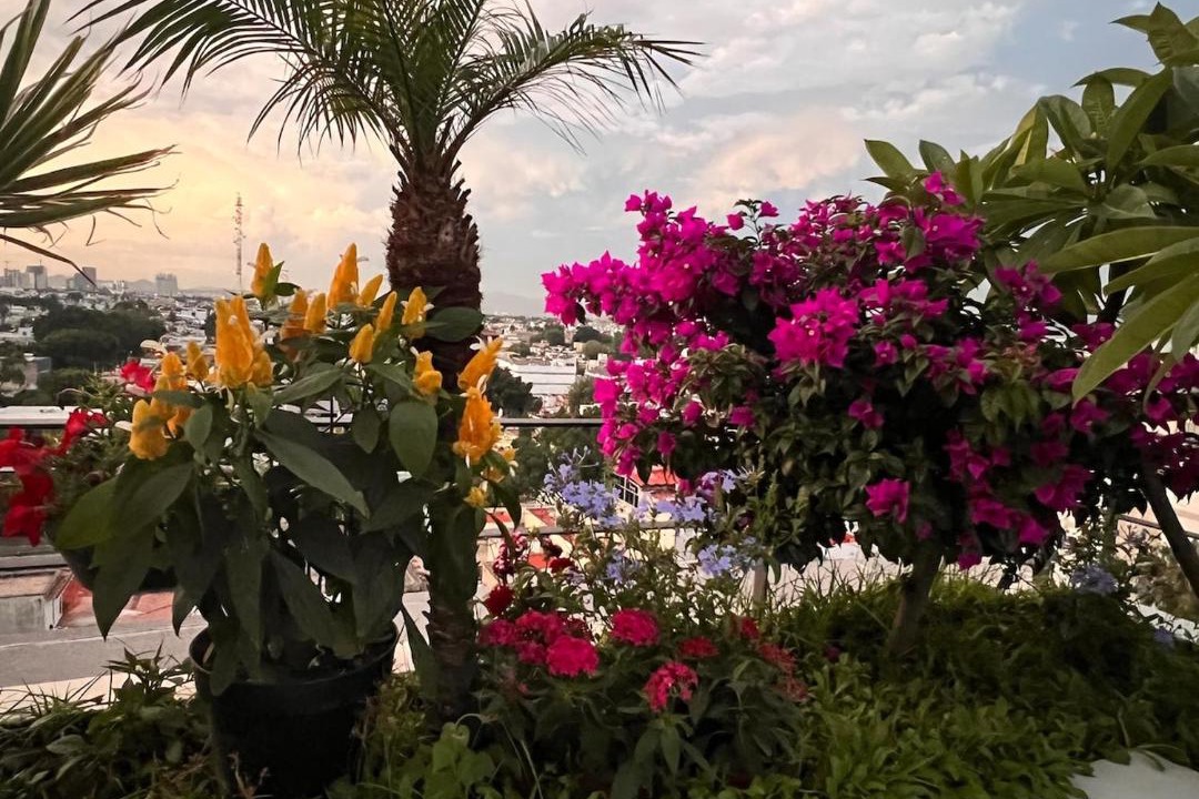 Photo of Patio Balcony in Americana