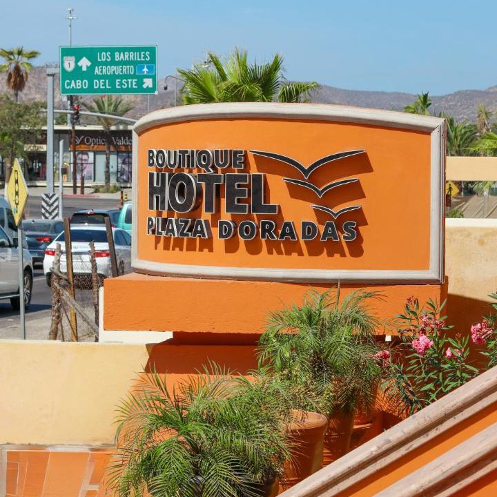 Photo of Others in Downtown San Jose del Cabo