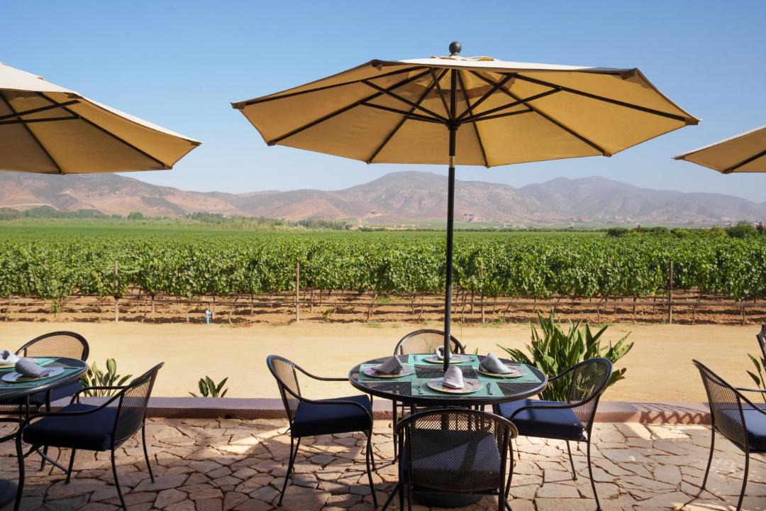 Photo of Others in Valle de Guadalupe