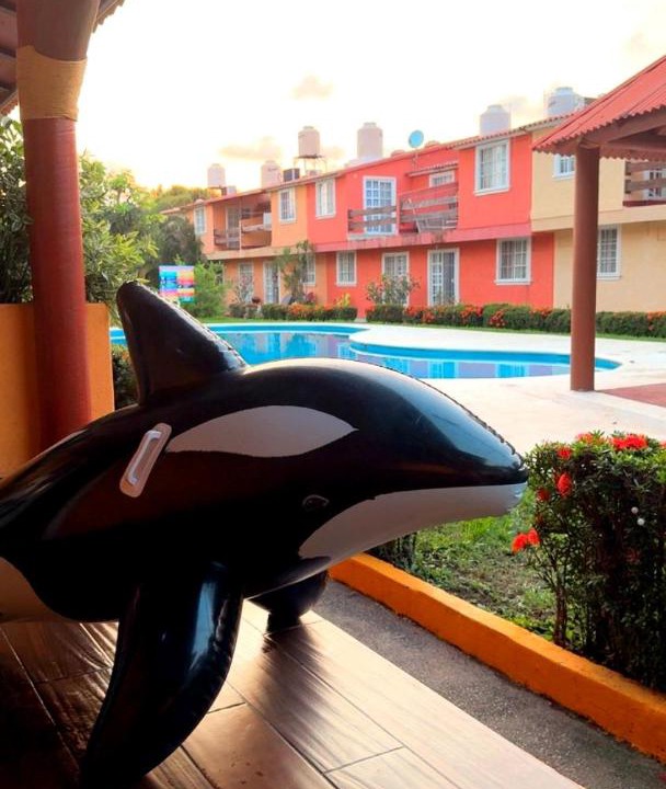Photo of Others in Ixtapa