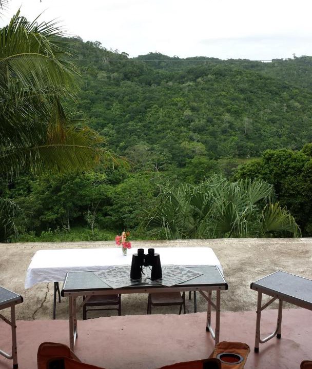 Photo of Others in Estero Franco