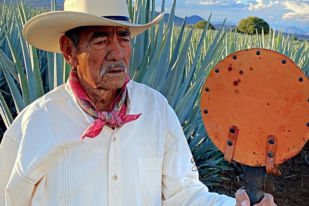 Photo of Others in Tequila