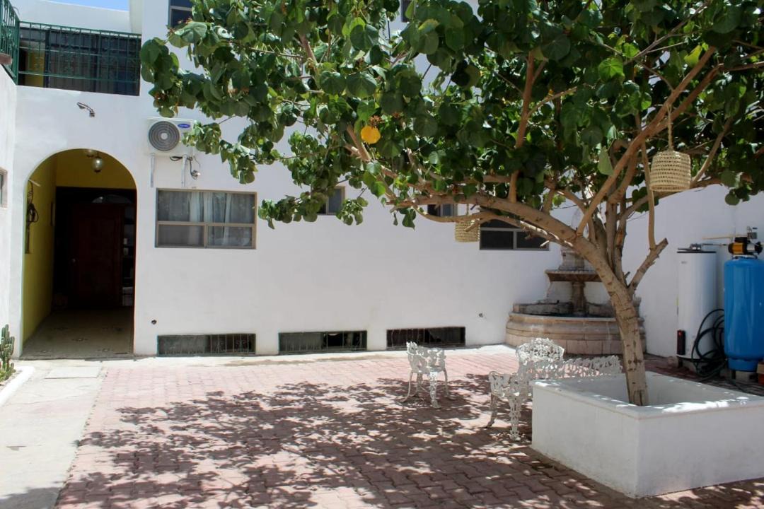 Photo of Others in Torreon