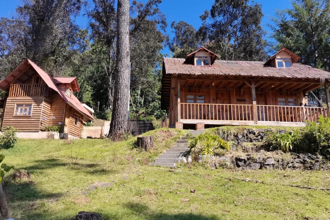 Photo of Others in Tacambaro