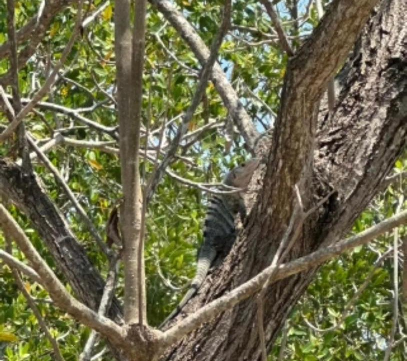 Photo of Others in Boca del Cielo