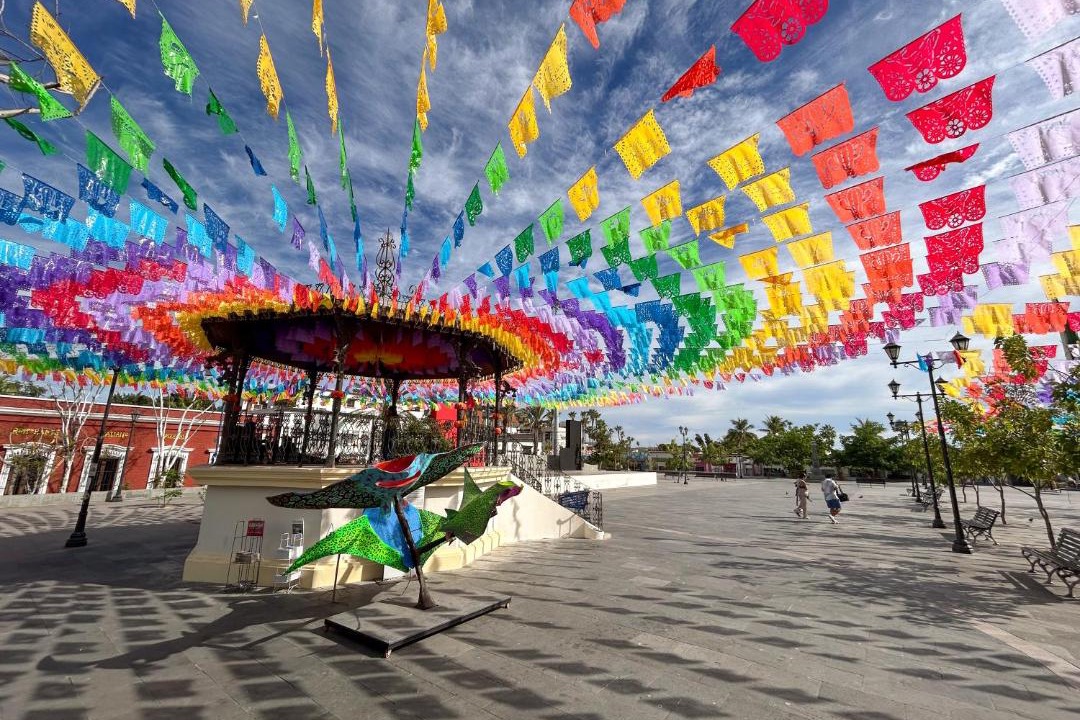 Photo of Others in Downtown San Jose del Cabo