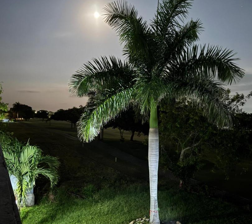 Photo of Others in Tampico