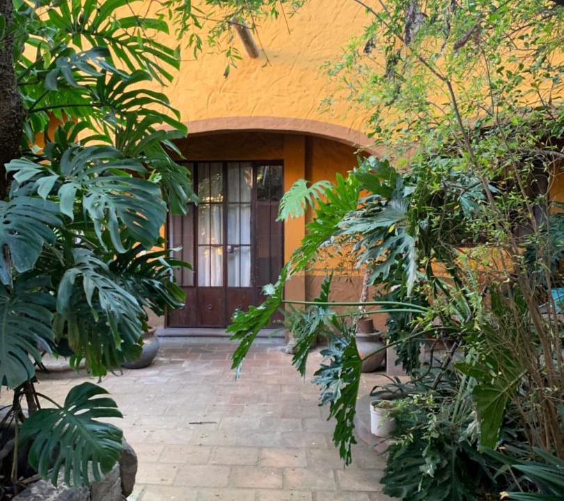 Photo of Others in San Miguel de Allende