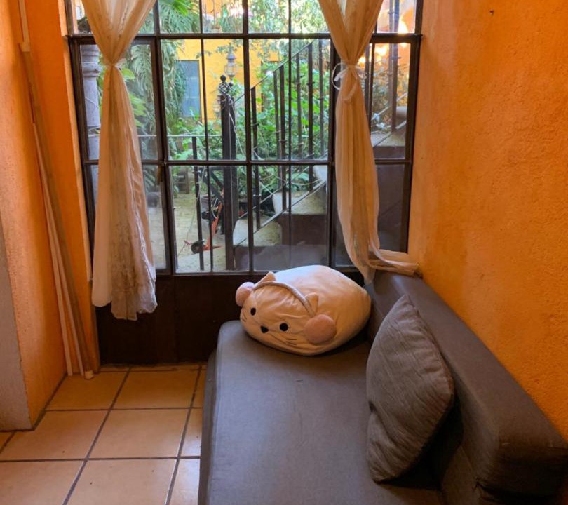 Photo of Others in San Miguel de Allende
