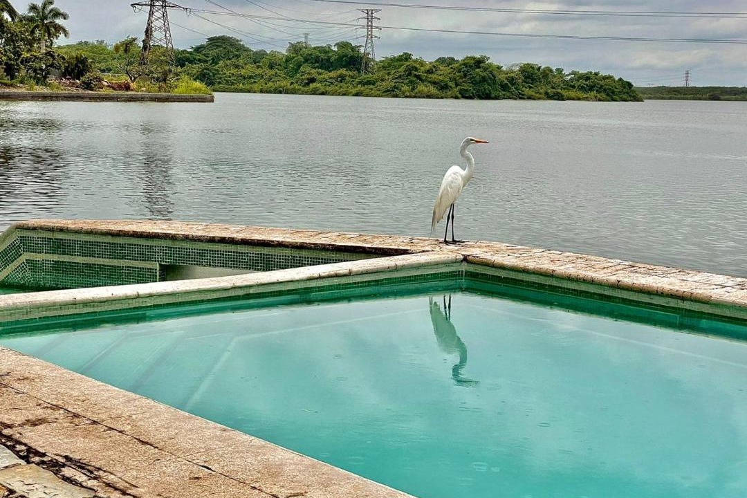 Photo of Others in Tampico
