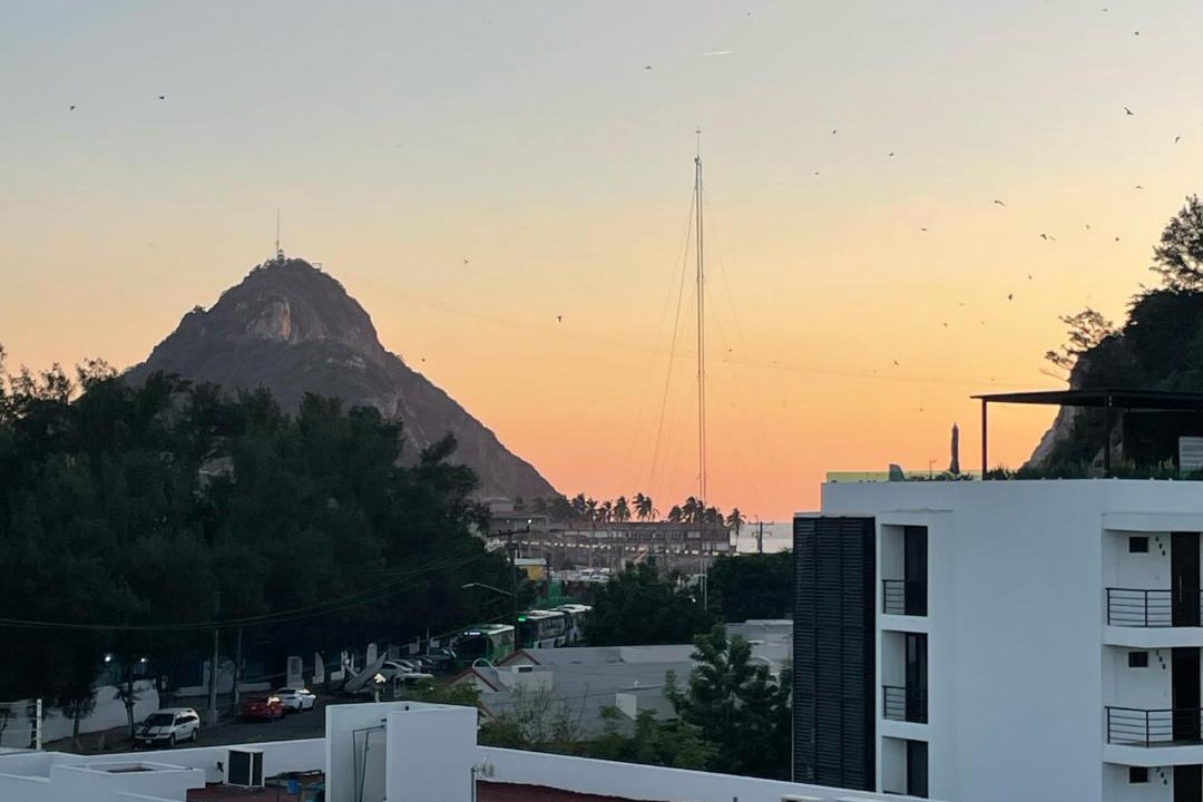 Photo of Others in Downtown Mazatlan