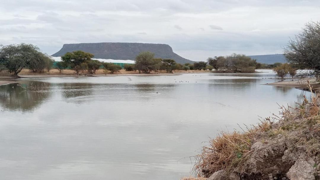 Photo of Others in Lagos de Moreno
