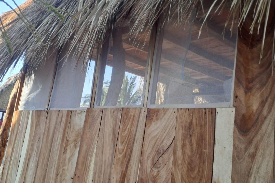 Photo of Others in Tonala