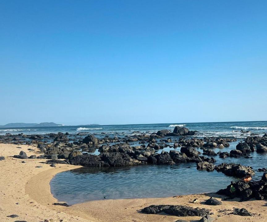 Photo of Others in Troncones
