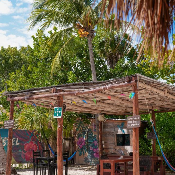 Photo of Others in Isla Holbox