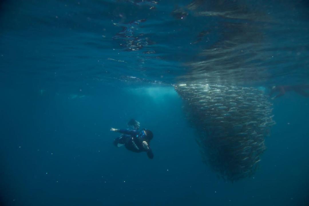 Photo of Others in Puerto San Carlos