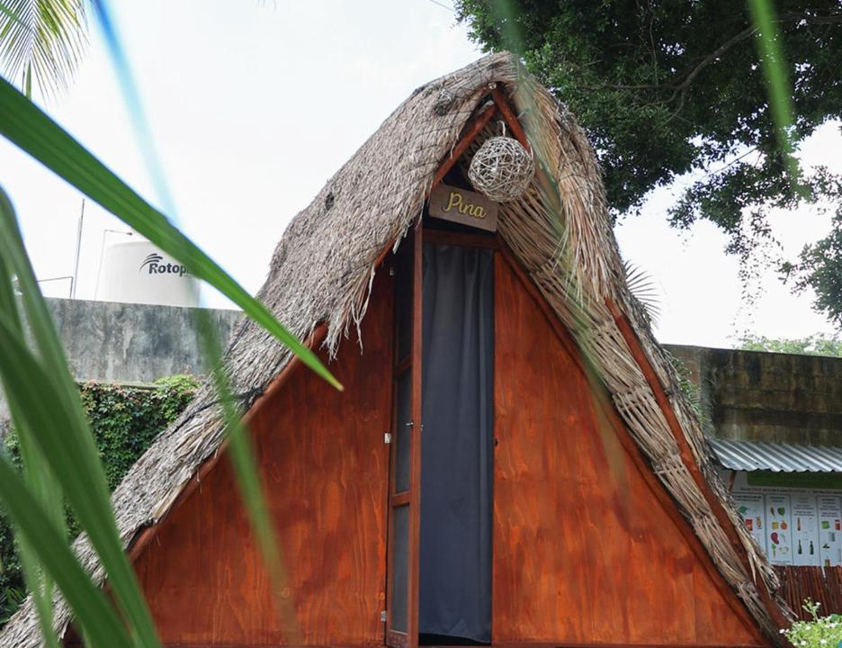 Photo of Others in Bacalar