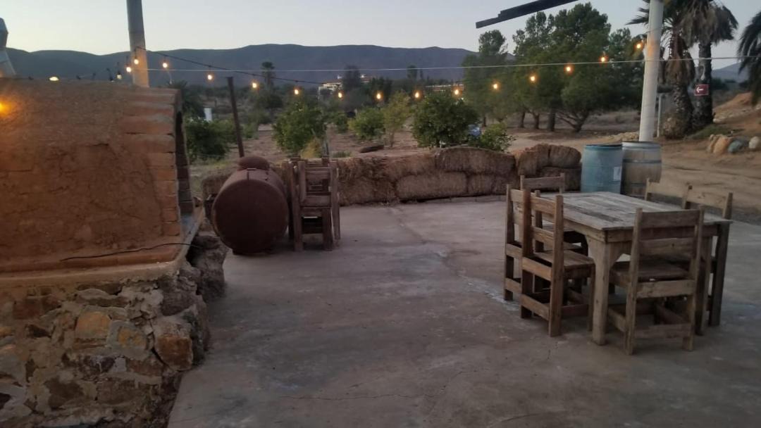 Photo of Others in Valle de Guadalupe