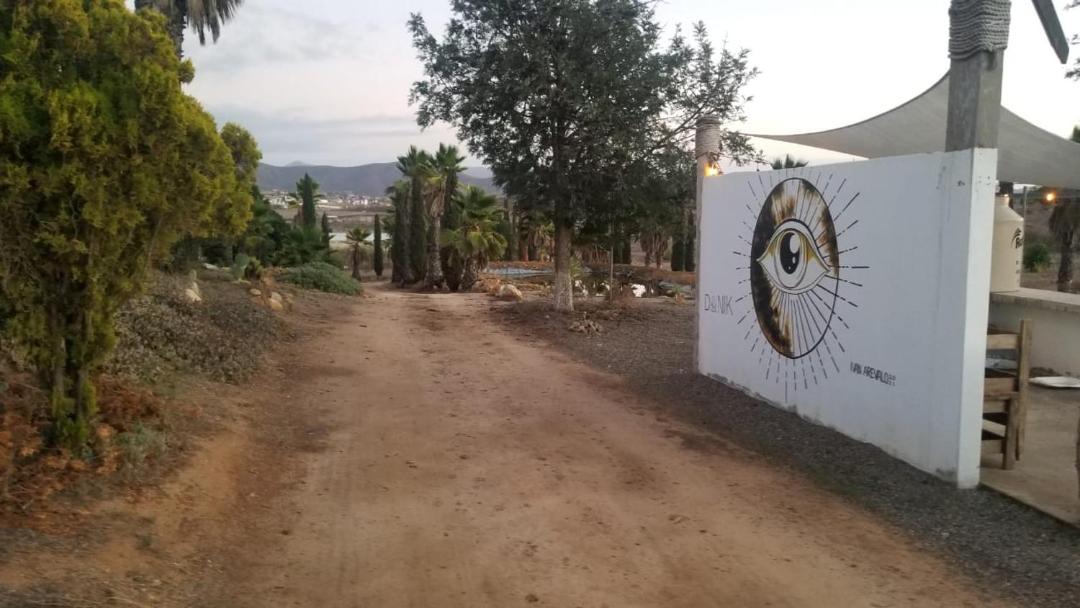 Photo of Others in Valle de Guadalupe