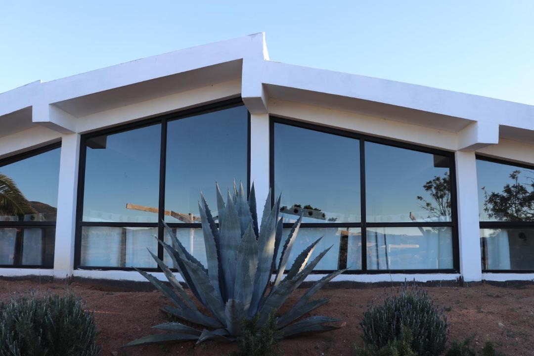 Photo of Others in Valle de Guadalupe