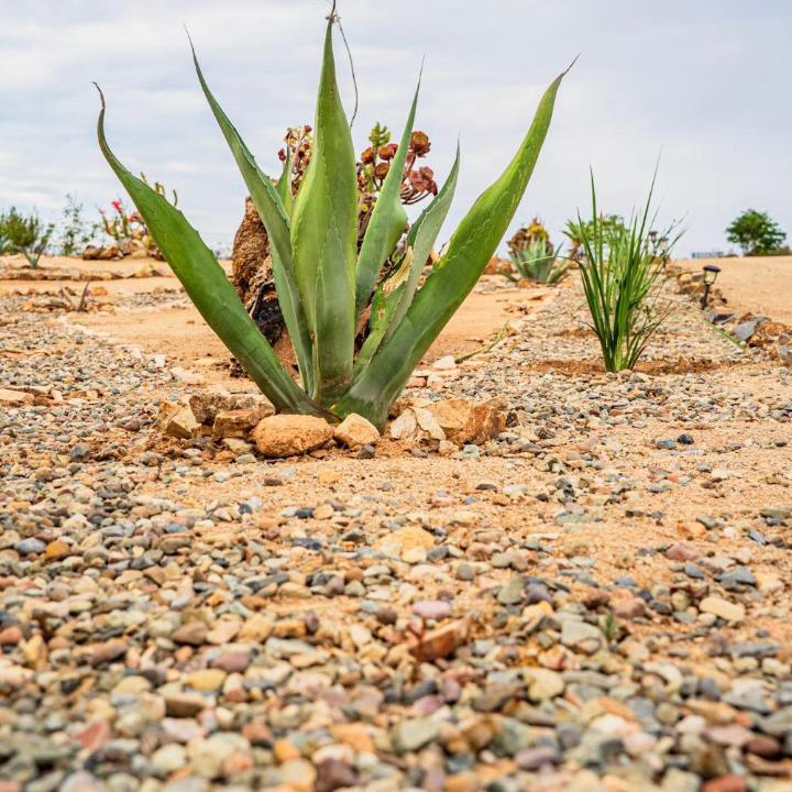 Photo of Others in Valle de Guadalupe