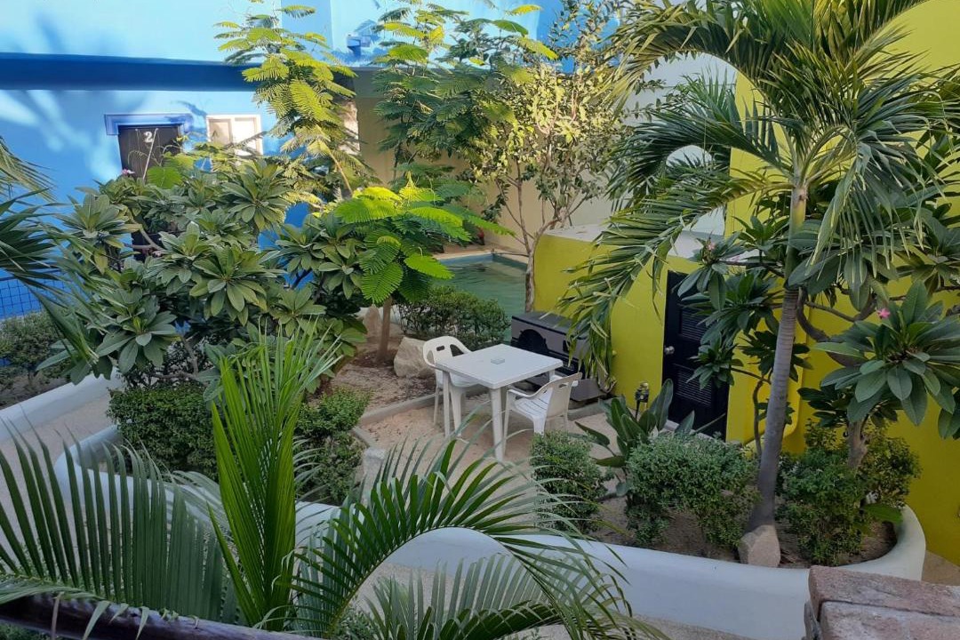 Photo of Others in San Jose del Cabo