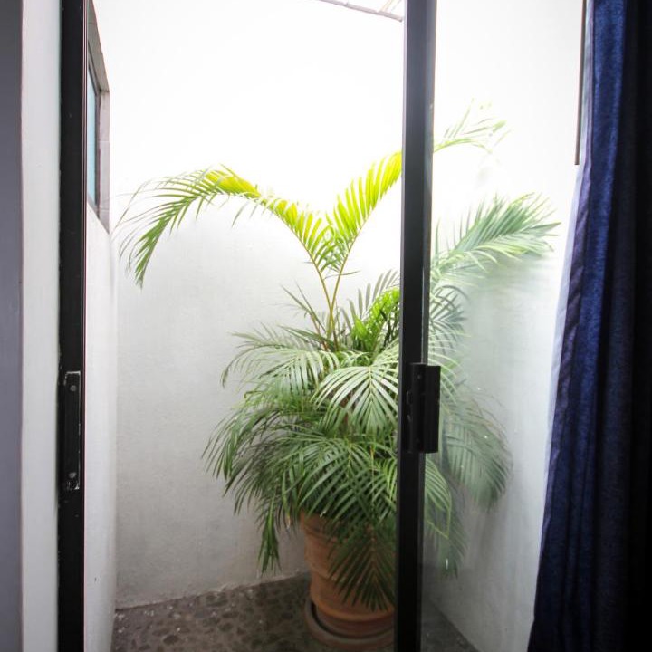 Photo of Others in Guadalajara