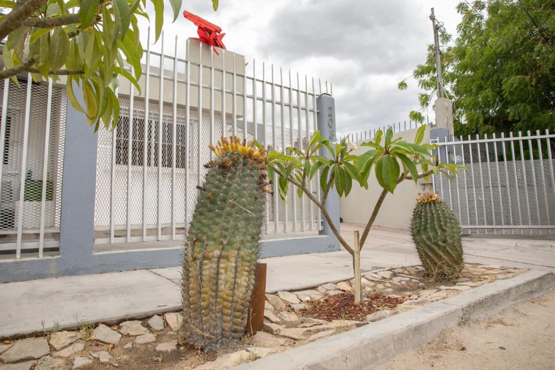 Photo of Others in La Paz