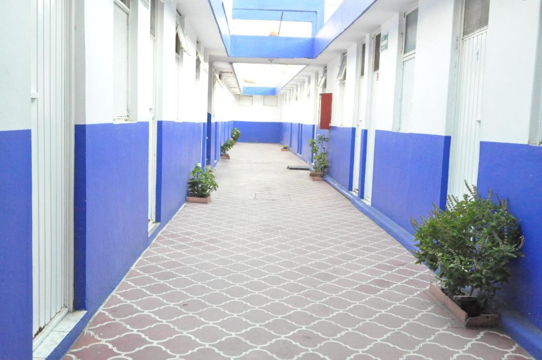 Photo of Others in Irapuato