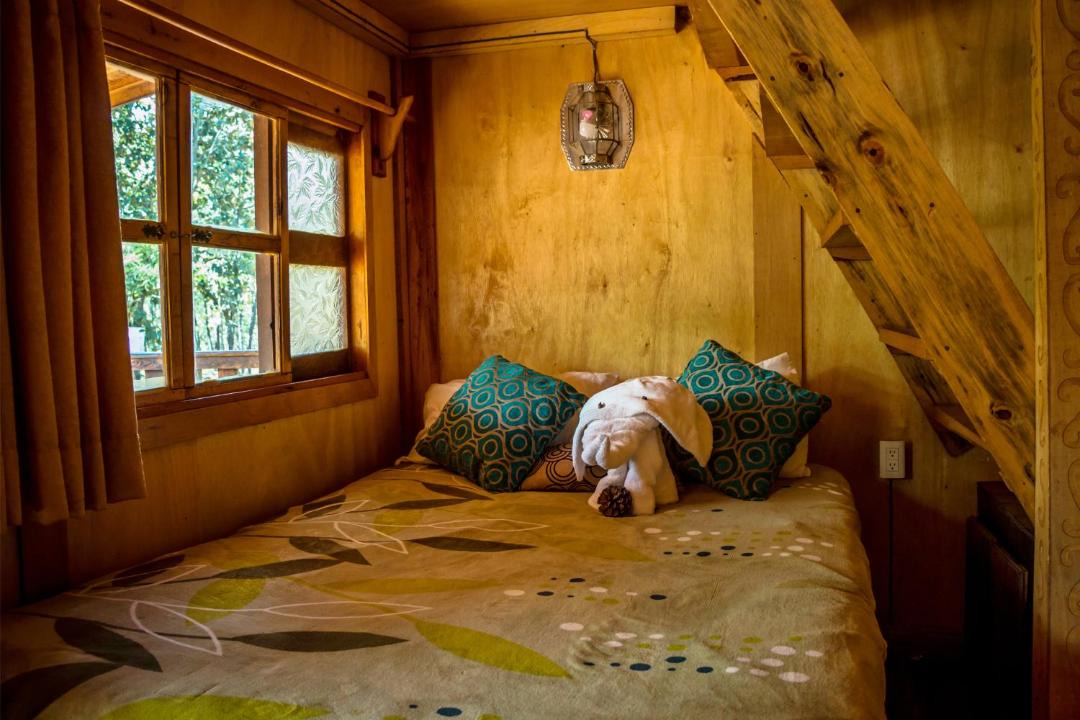 Photo of Bedroom in Mascota