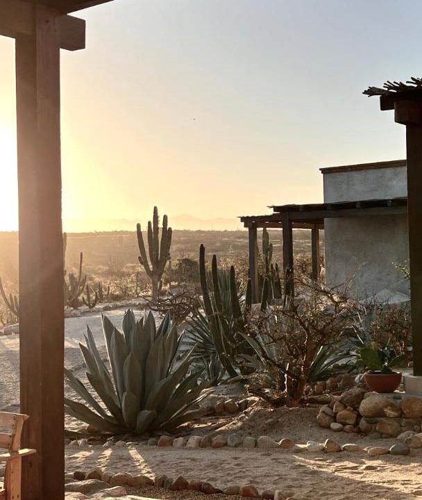 Photo of Others in Todos Santos