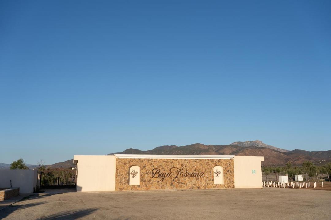 Photo of Others in Valle de Guadalupe