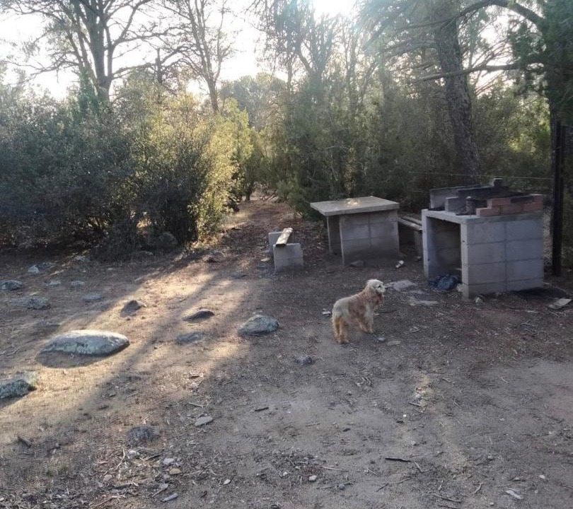Photo of Others in Tecate Municipality