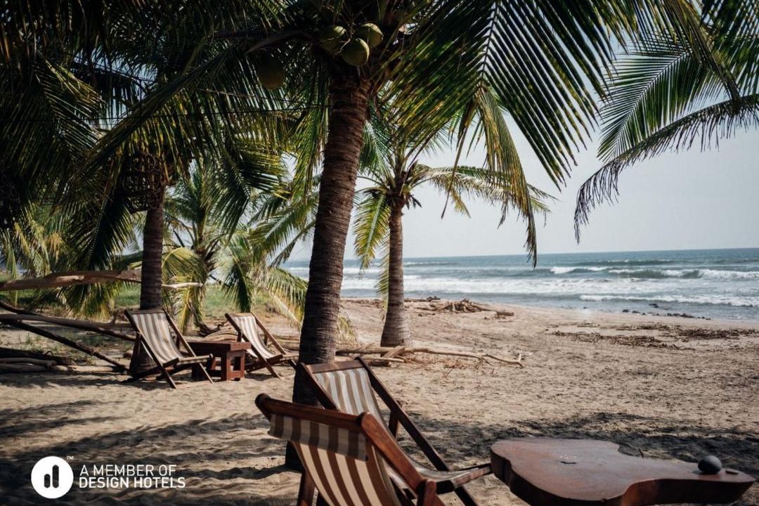 Photo of Others in Troncones