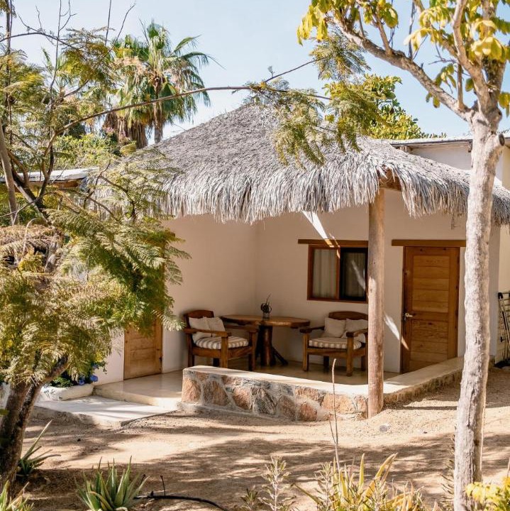 Photo of Others in Todos Santos