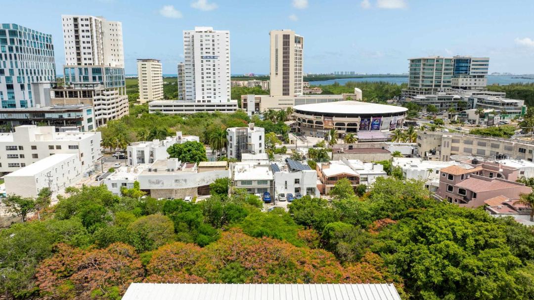 Photo of Others in Downtown Cancun