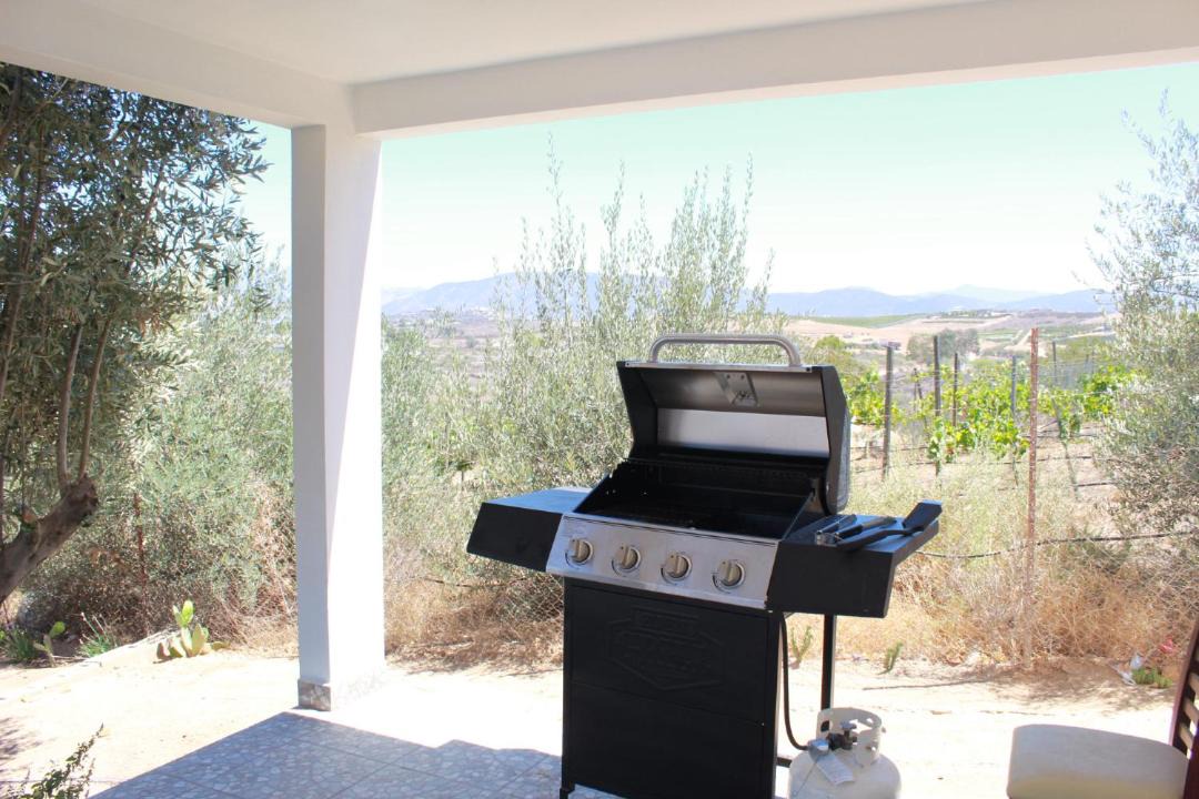 Photo of Others in Valle de Guadalupe