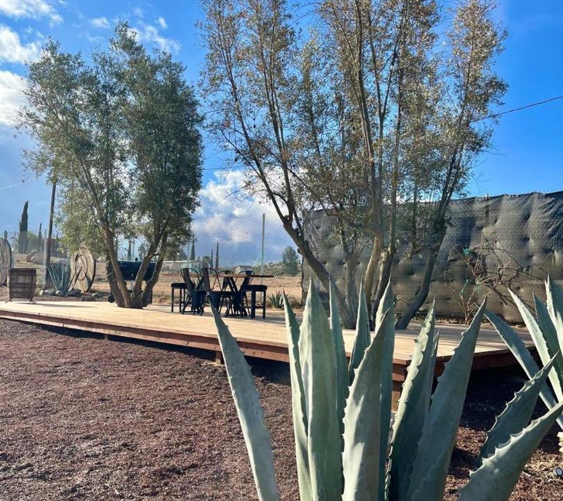 Photo of Others in Valle de Guadalupe