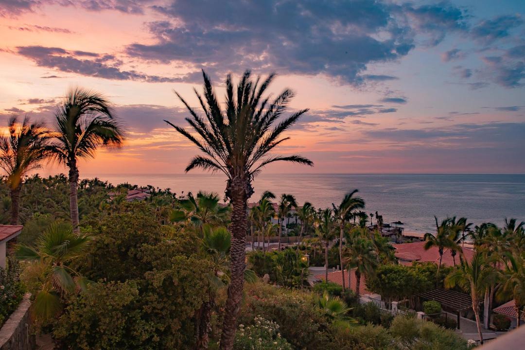 Photo of Others in Palmilla