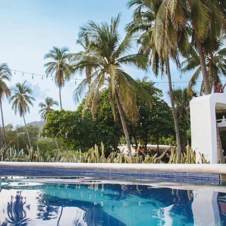 Photo of Others in Troncones