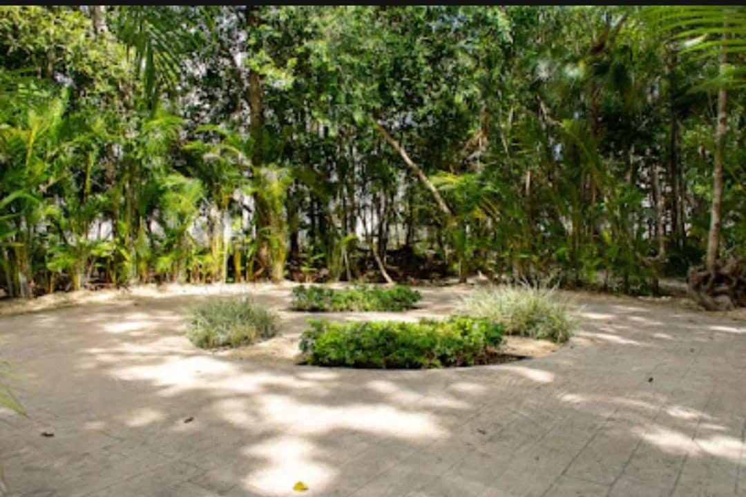 Photo of Others in Puerto Morelos
